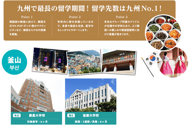 大学編入コース、釜山
