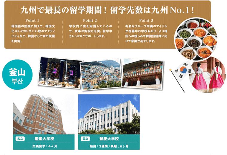 大学編入コース、釜山