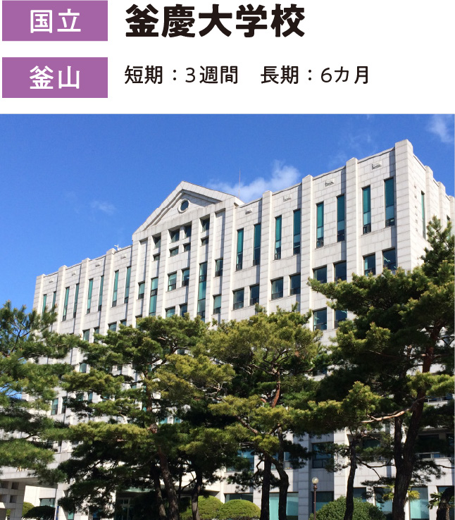 釜慶大学校