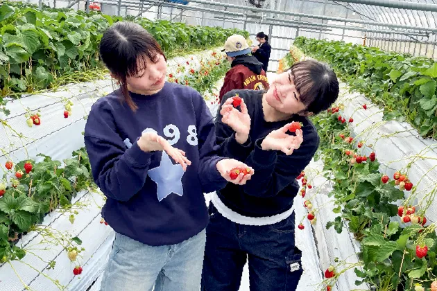 食材研究